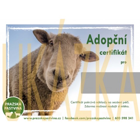 Adopční certifikát